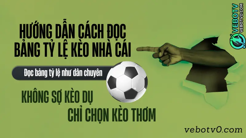 Hướng dẫn cách đọc bảng tỷ lệ kèo nhà cái chi tiết từng dòng cho người chơi cá độ bóng đá
