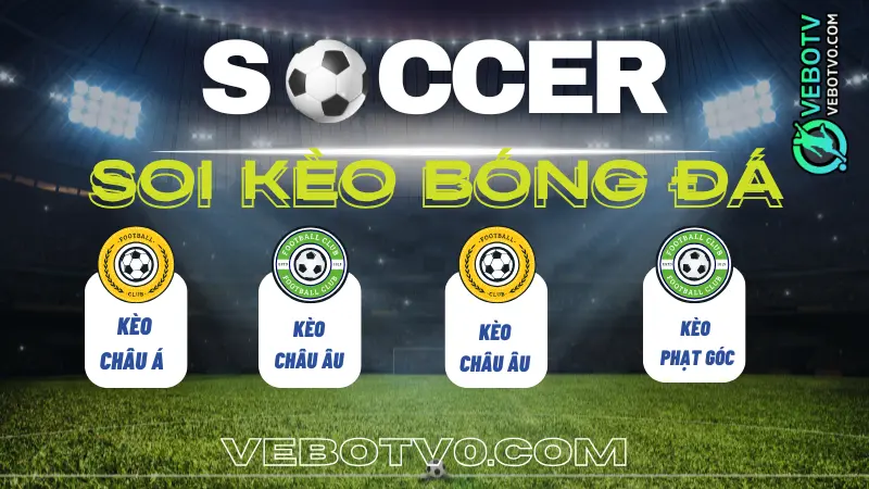 Hướng dẫn soi kèo bóng đá chi tiết: cách đọc tỷ lệ cược, kèo châu Á, tài xỉu, châu Âu và các kèo cược bóng đá phổ biến