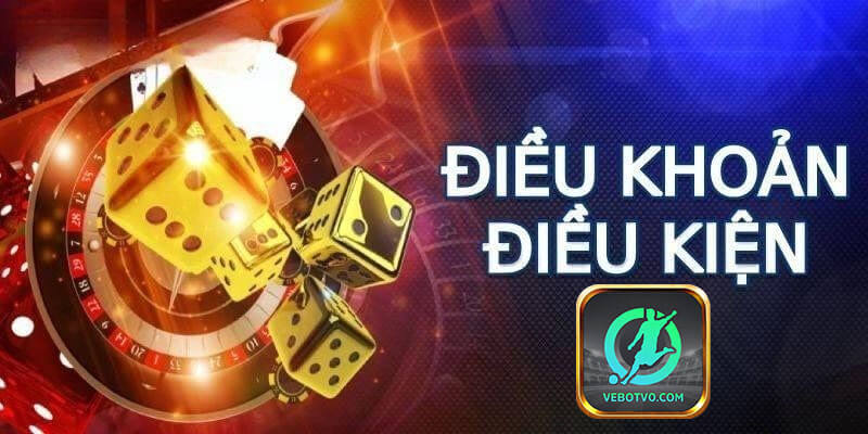 Cam Kết Từ VeboTV Về Điều Khoản Và Điều Kiện VeboTV