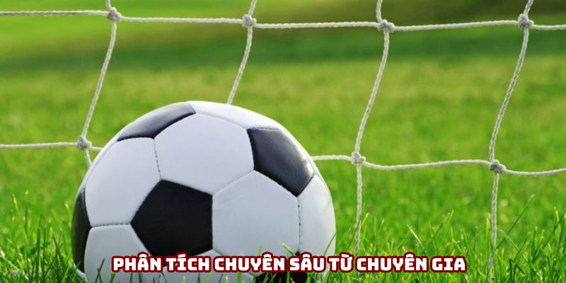 Phân tích chuyên sâu từ chuyên gia Phân tích chuyên sâu từ chuyên gia