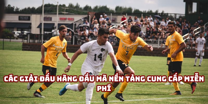 Các giải đấu hàng đầu mà nền tảng cung cấp miễn phí Các giải đấu hàng đầu mà nền tảng cung cấp miễn phí