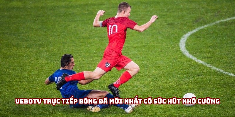 Vebotv trực tiếp bóng đá mới nhất có sức hút khó cưỡng Vebotv trực tiếp bóng đá mới nhất có sức hút khó cưỡng
