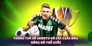 VeboTV và các giải đấu bóng đá thế giới đầy hấp dẫn