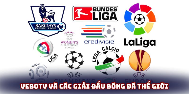 VeboTV và các giải đấu bóng đá thế giới hấp dẫn VeboTV và các giải đấu bóng đá thế giới hấp dẫn