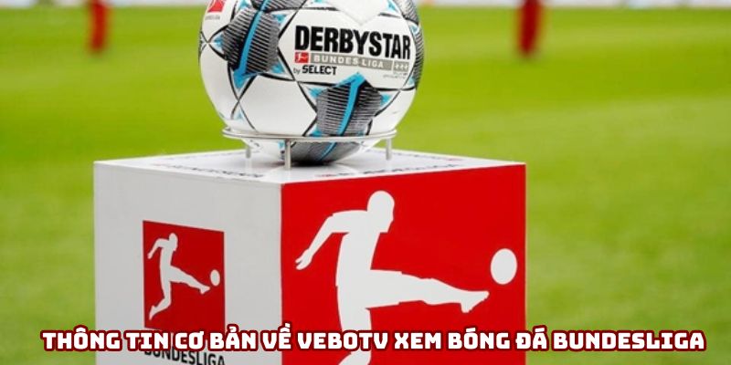 Thông tin cơ bản về VeboTV xem bóng đá Bundesliga Thông tin cơ bản về VeboTV xem bóng đá Bundesliga