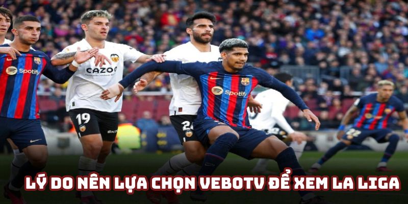 Đánh giá các ưu điểm nổi bật nhất ở VeboTV Đánh giá các ưu điểm nổi bật nhất ở VeboTV