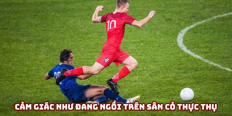 Cảm giác như đang ngồi trên sân cỏ thực thụ Cảm giác như đang ngồi trên sân cỏ thực thụ