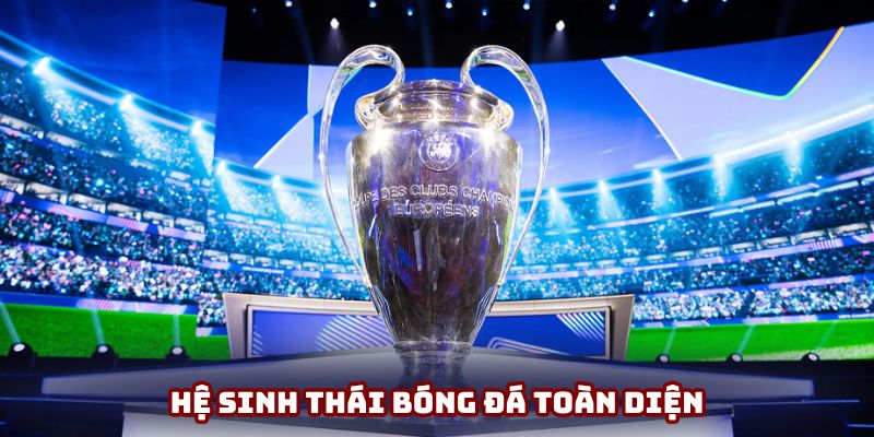 Hệ sinh thái bóng đá toàn diện Hệ sinh thái bóng đá toàn diện